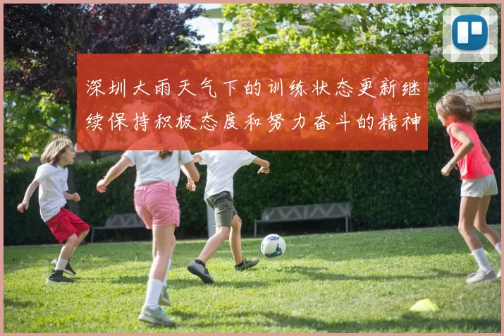 深圳大雨天气下的训练状态更新继续保持积极态度和努力奋斗的精神